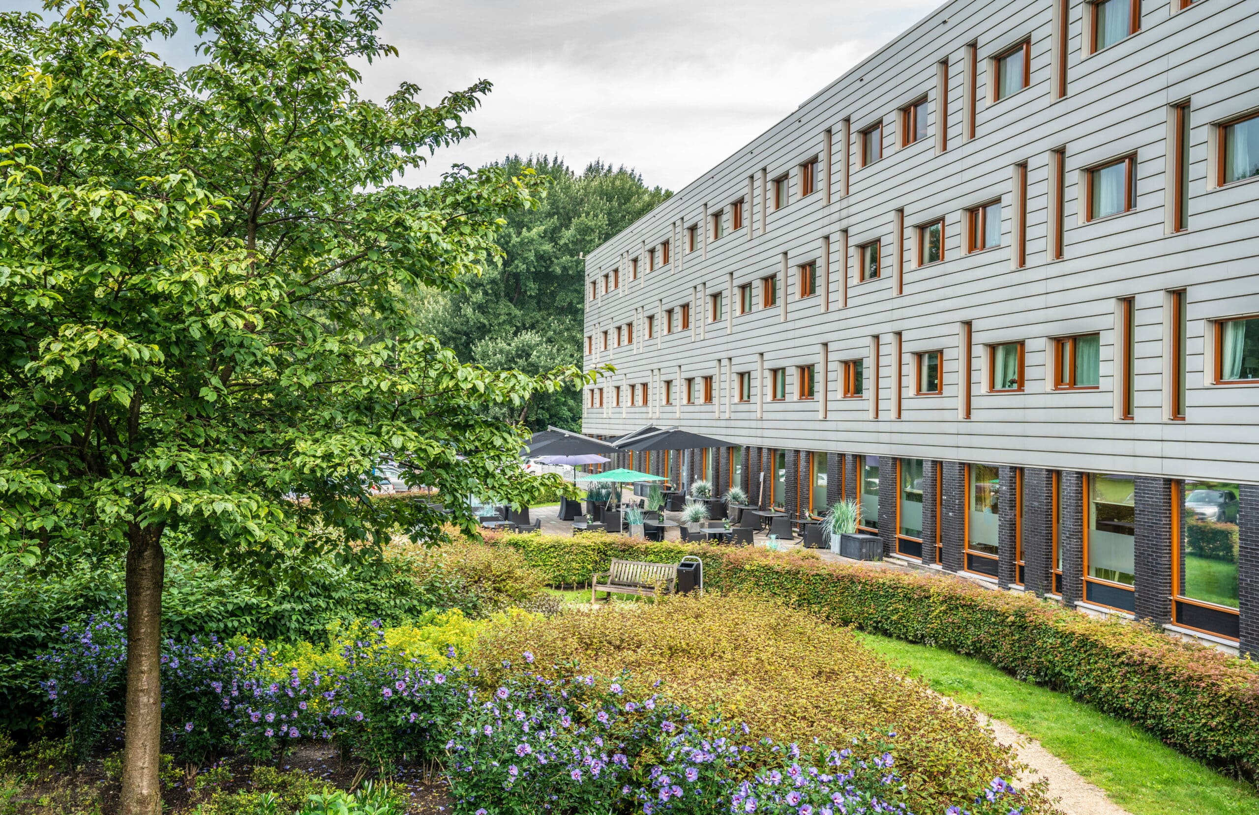 Revalidatie Franciscus